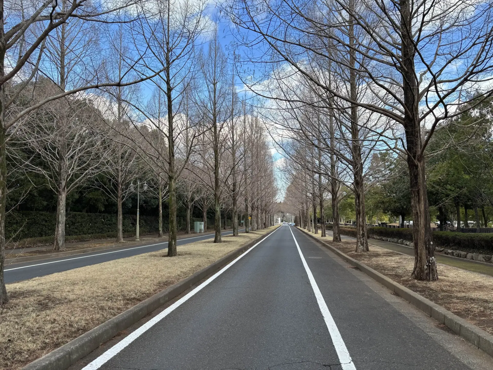 土地販売物件-株式会社東葉ハウジングプラザ-大網白里市季美の森南
