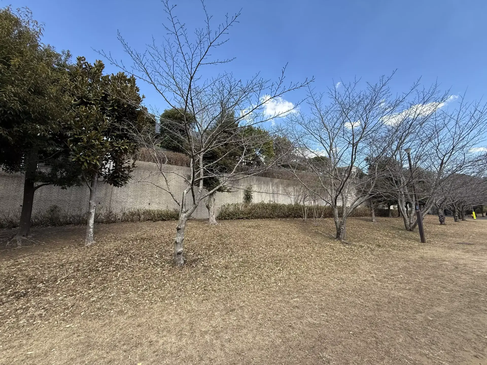 土地販売物件-株式会社東葉ハウジングプラザ-千葉市緑区おゆみ野