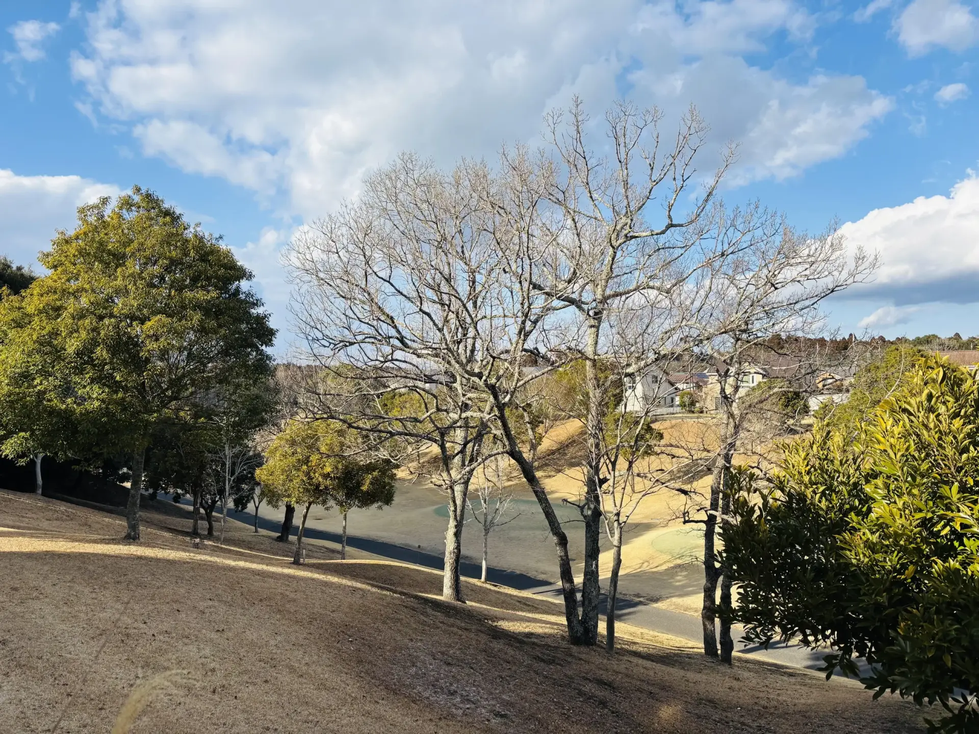 土地販売物件-株式会社東葉ハウジングプラザ-大網白里市季美の森南